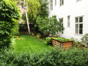 IMG_9101