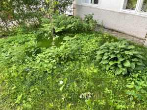 bioGartler-5608