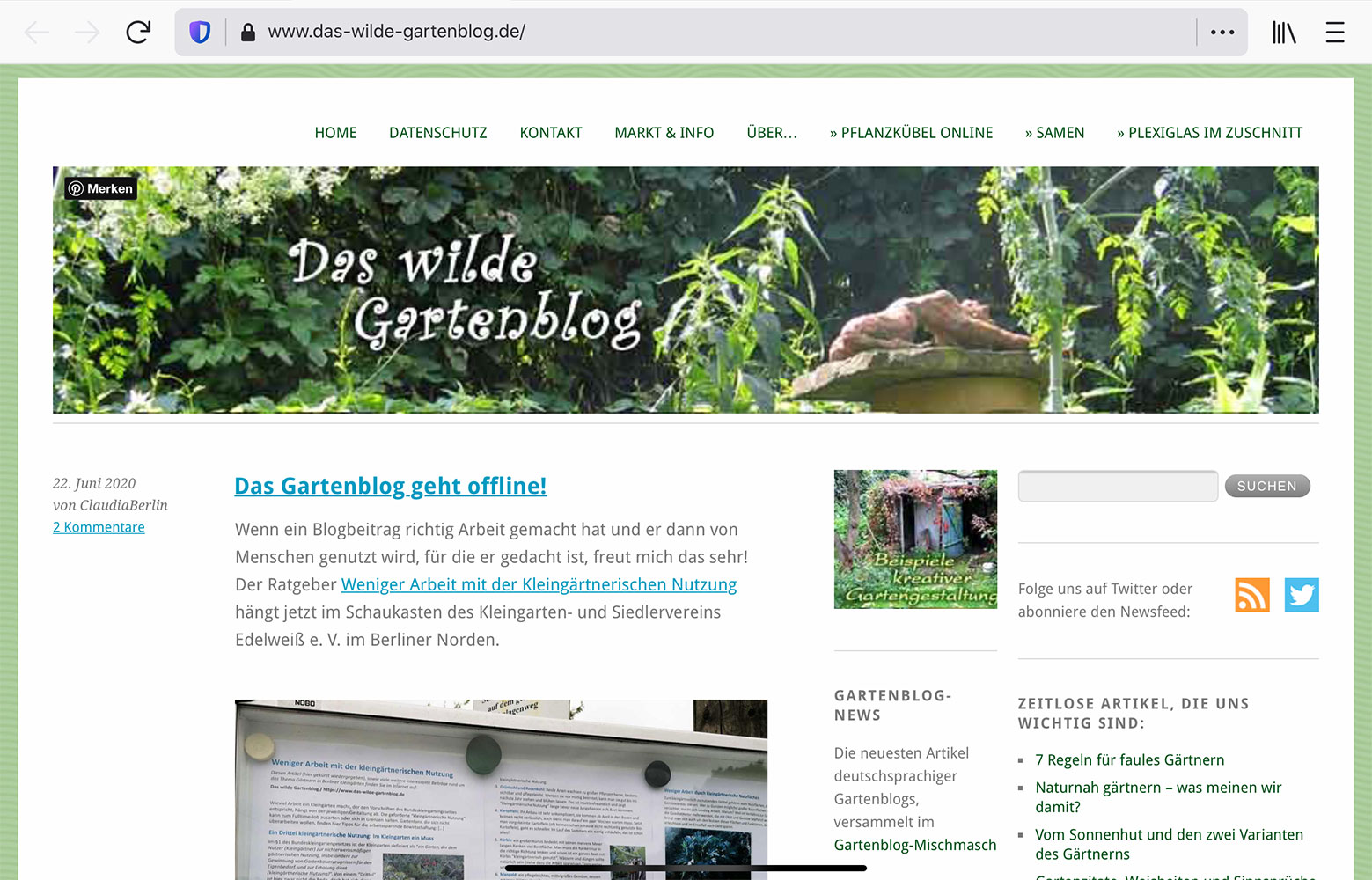 das wilde gartenblog