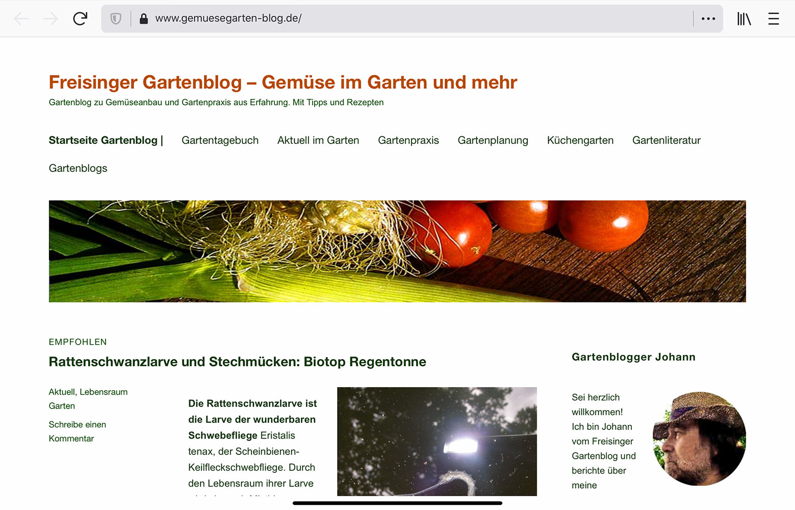 gemuesegarten blog
