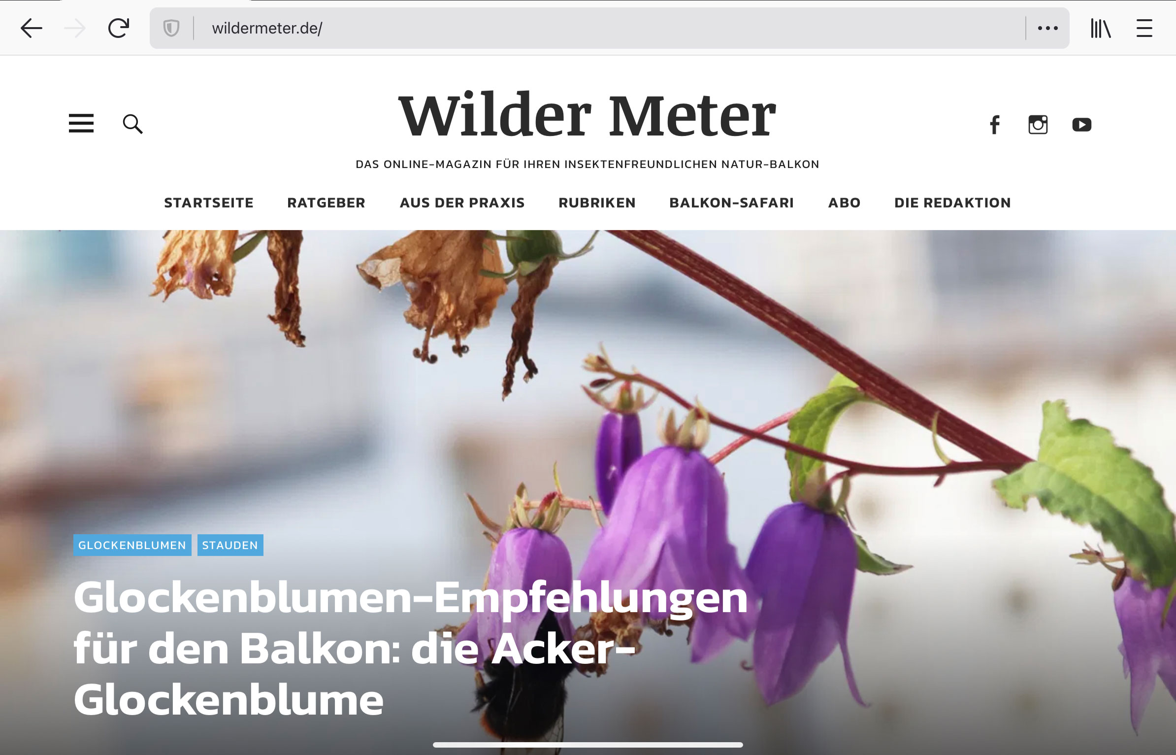 wildermeter