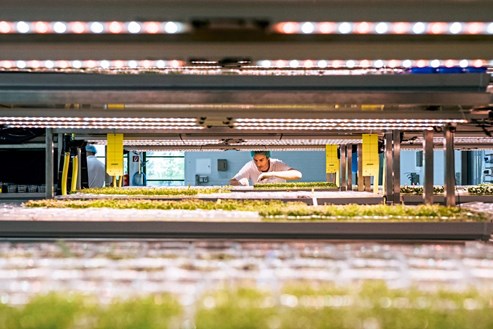 180927 verticalfarming