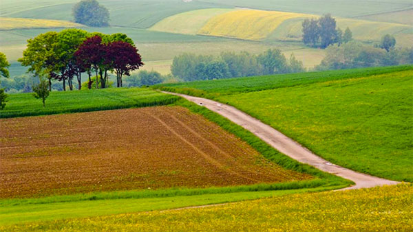 200407 Agraroekologische Loesungen