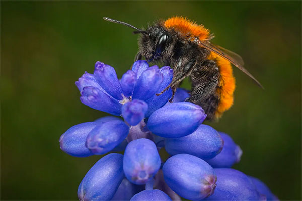 201109 Insektensterben