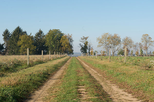 210329 Rodale Institute