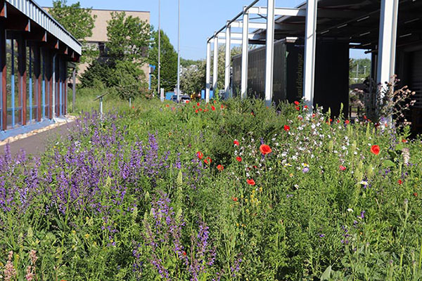 210714 UnternehmensNatur