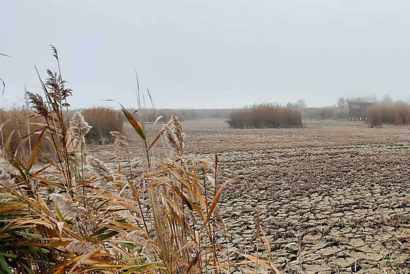 221114 Wasserstand weiterhin