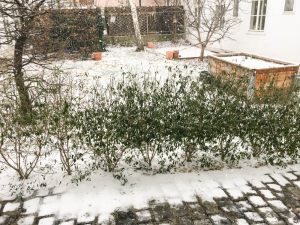 IMG_1568